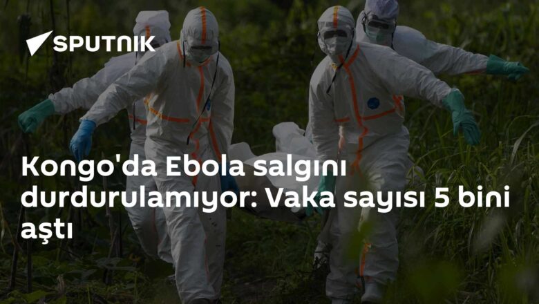 Ebola salgını