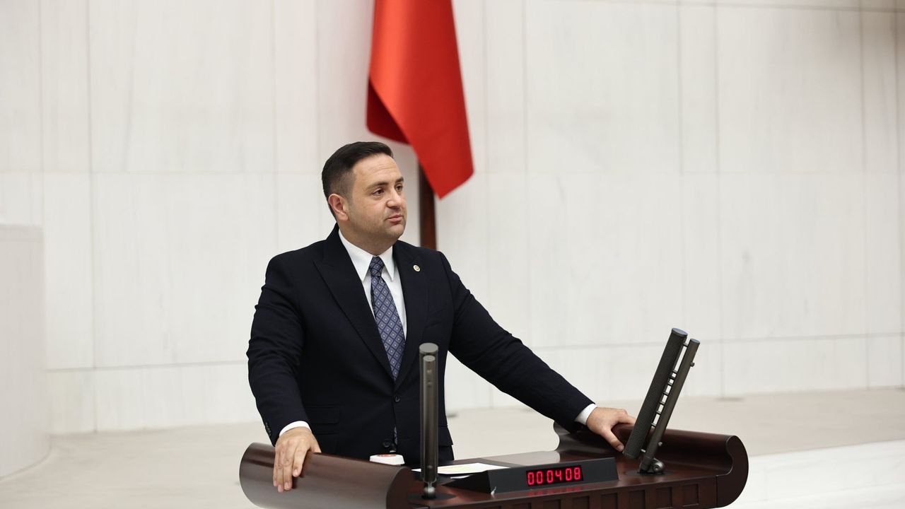 Komisyon Eleştirisi