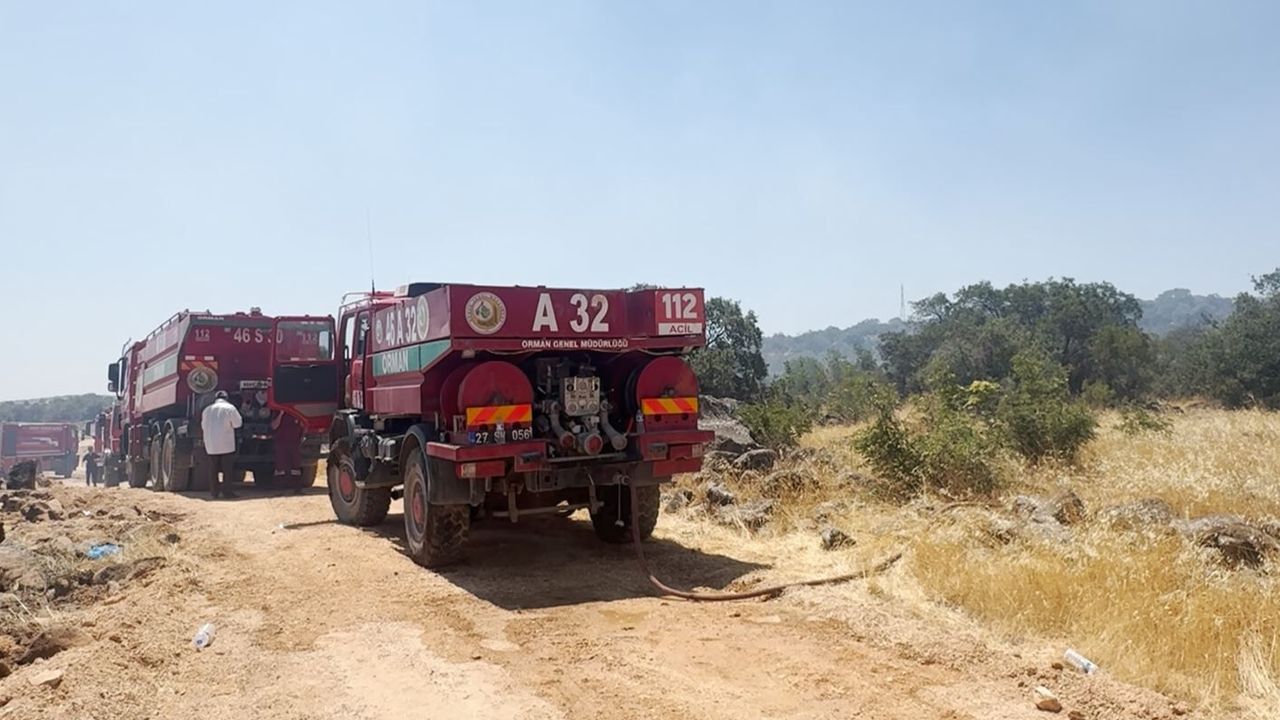 Şehitkamil orman yangını
