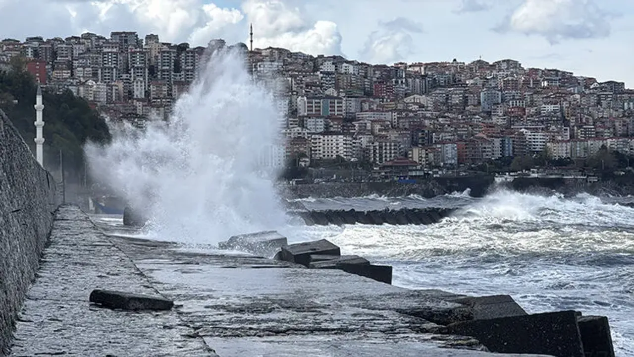 Dalga Panik