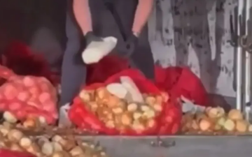 Soğan Torbaları