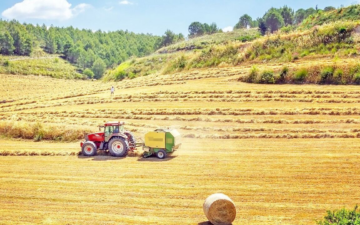 Ziraat Yüksek Mühendisi