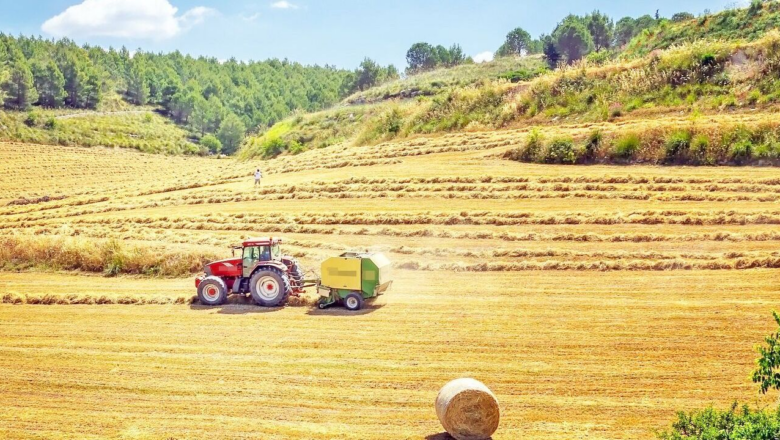 Ziraat Yüksek Mühendisi