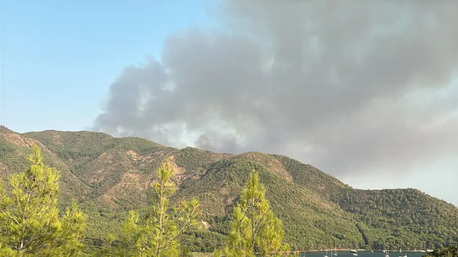 Marmaris orman yangını