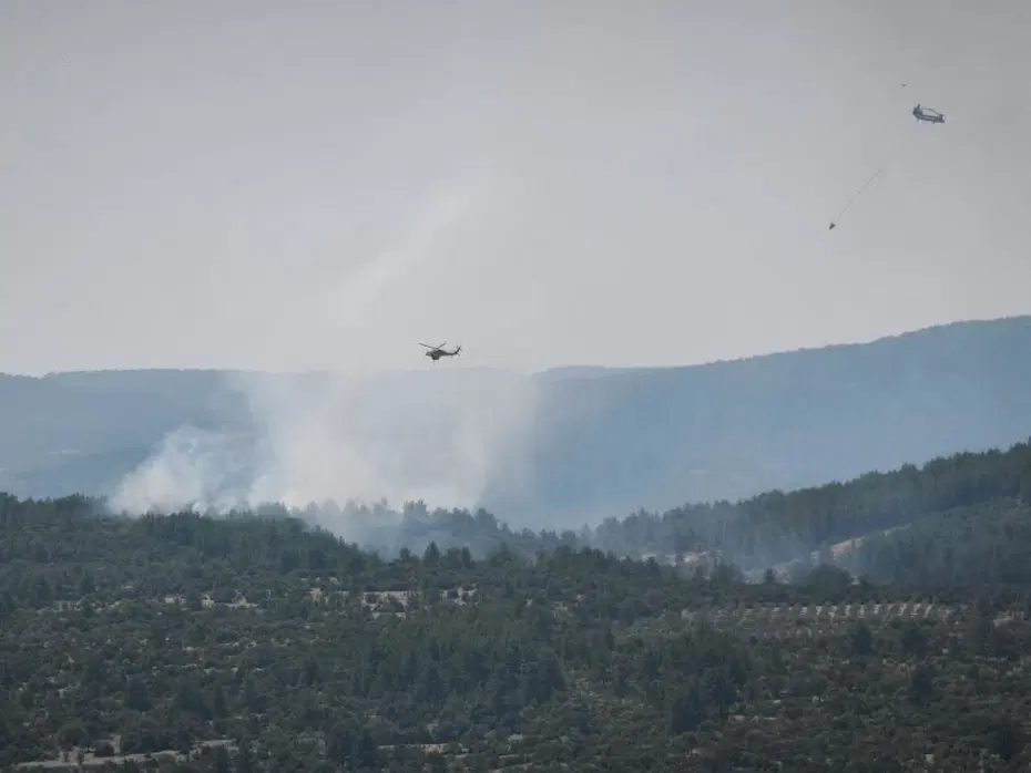 Muğla Orman Yangını